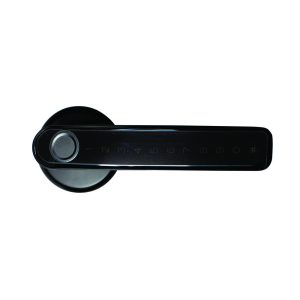 ADL0085_2.jpg