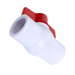 C5685_3.jpg