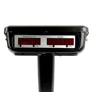 CAM0008_4.jpg