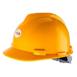 CCPACH6_2.jpg